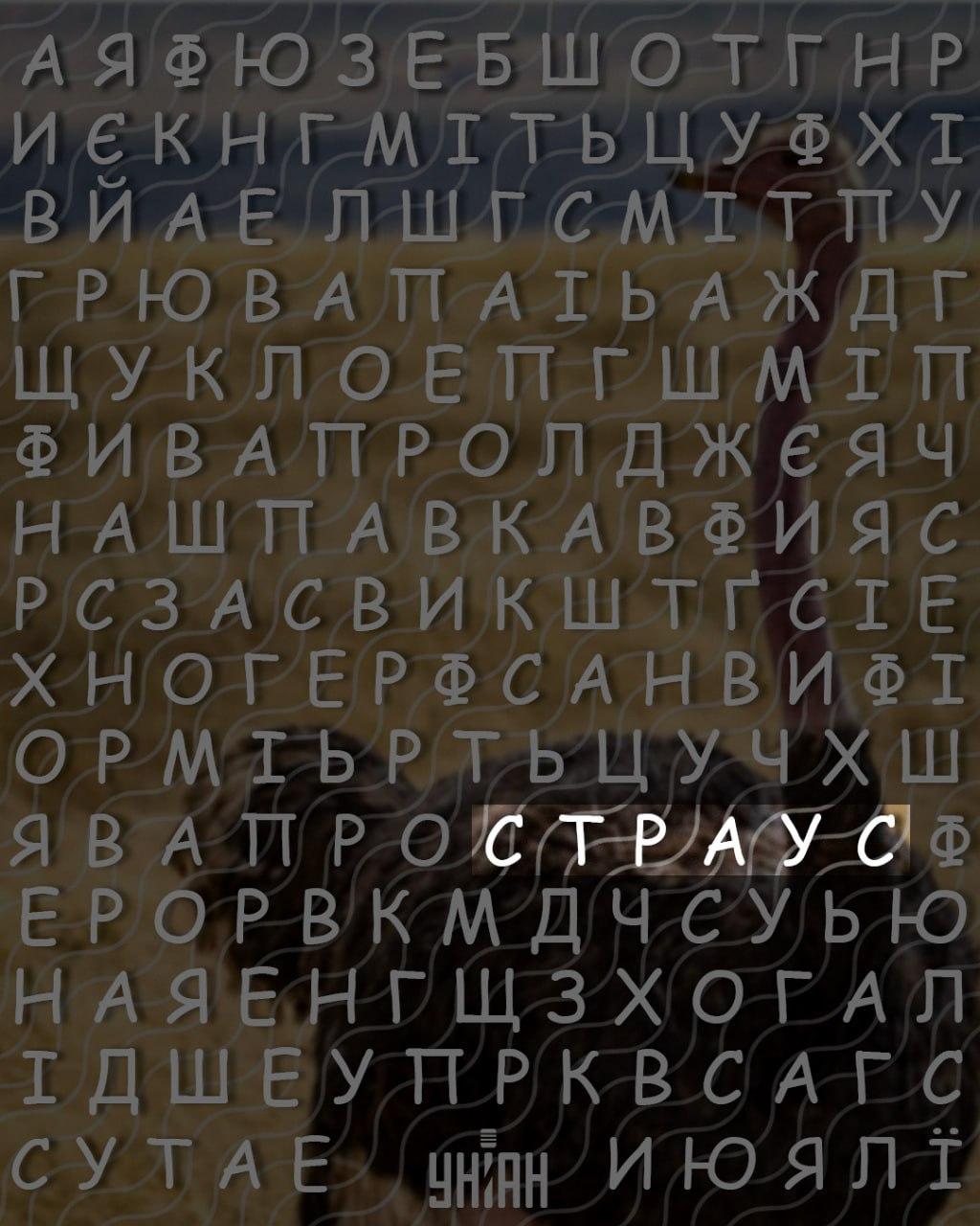 Samo će ljudi s visokim IQ-om pronaći riječ 'noj' u 10 sekundi: škakljiva zagonetka