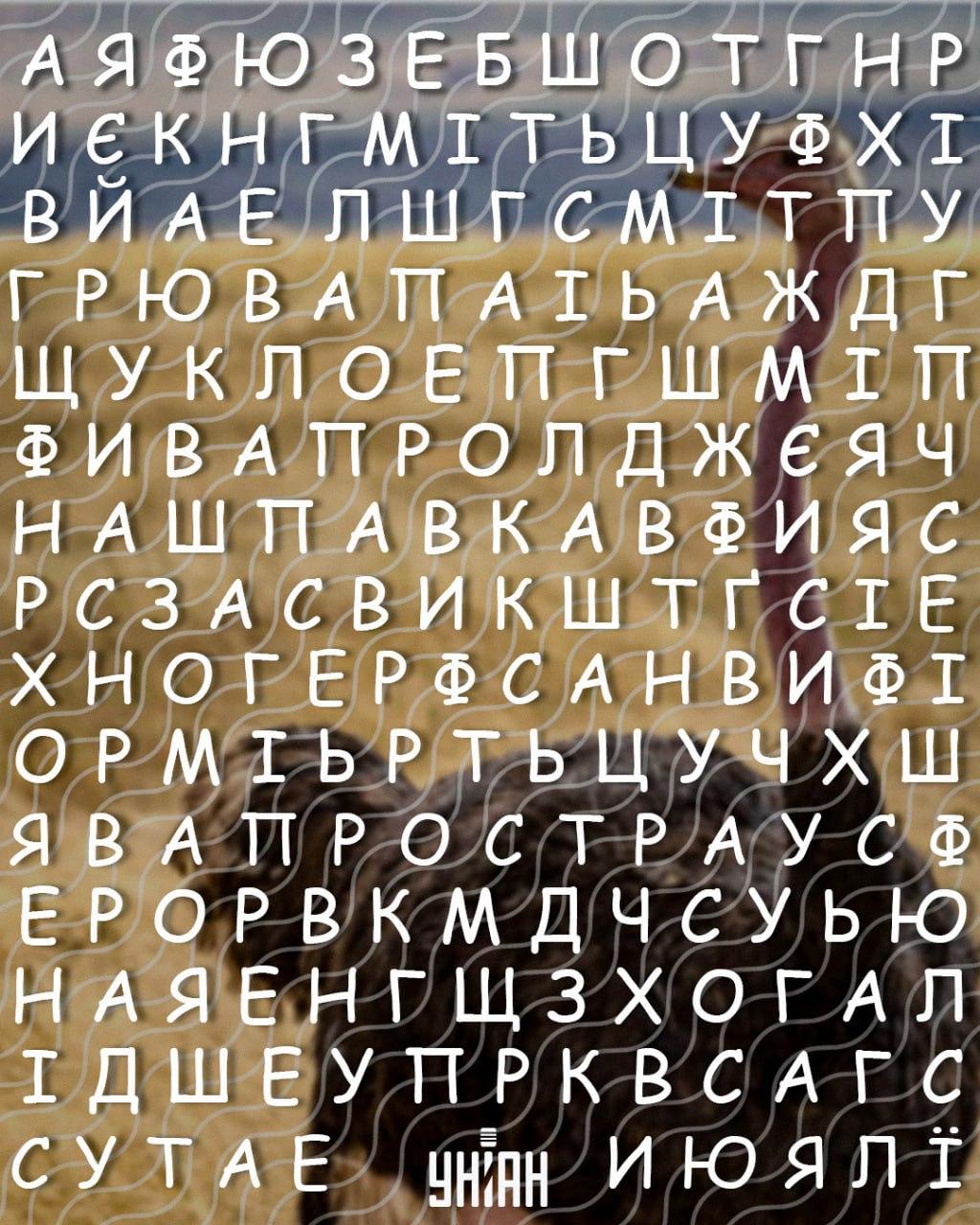 Samo će ljudi s visokim IQ-om pronaći riječ 'noj' u 10 sekundi: škakljiva zagonetka